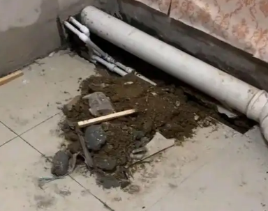 雷州卫生间漏水检测哪家好