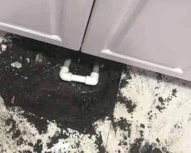 雷州查漏水哪家好